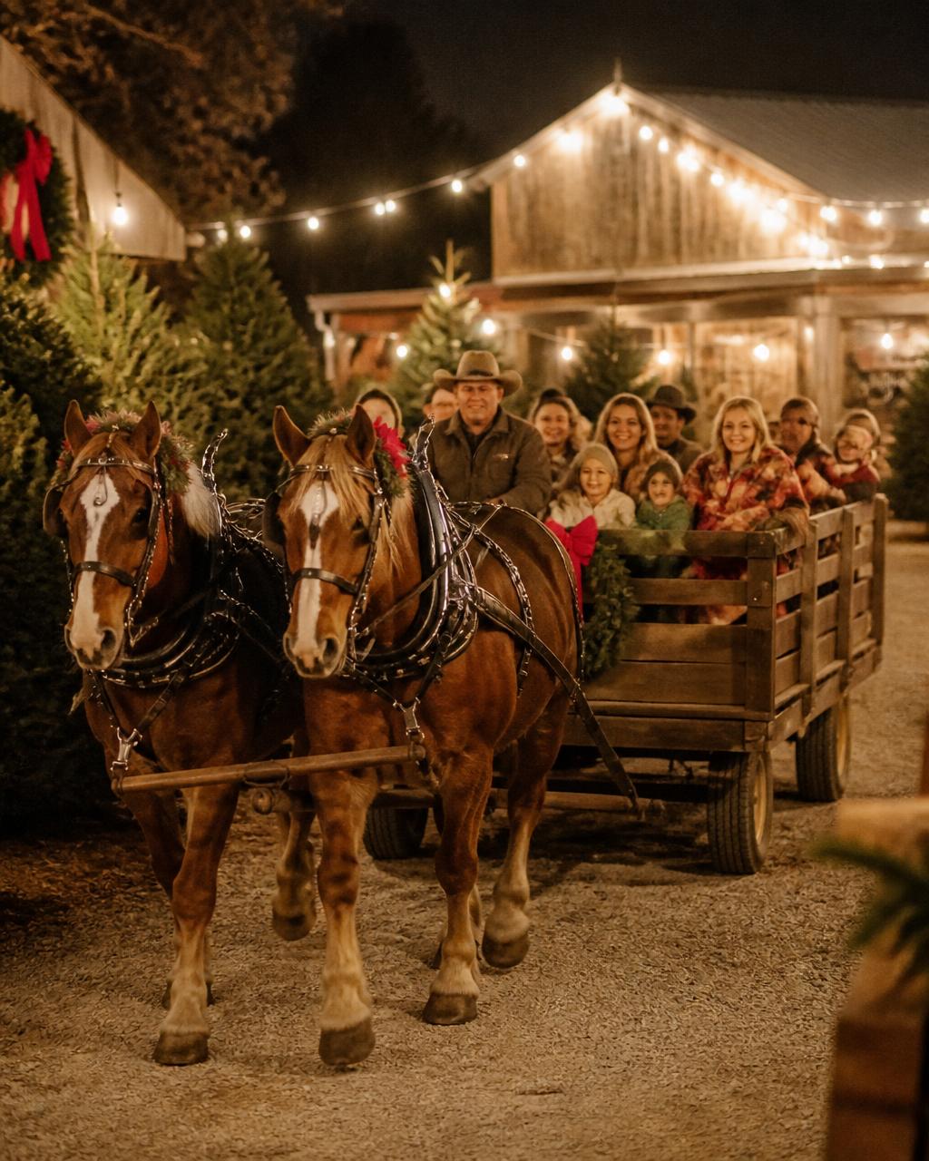 Two horses pulling a wooden wagon filled with smiling families at a Christmas tree lot